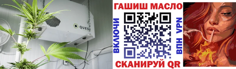 MEGA вход Шимановск Дистиллят ТГК концентрат
