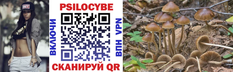 маркетплейс Telegram  Шимановск  Псилоцибиновые грибы Cubensis  MEGA ссылки 
